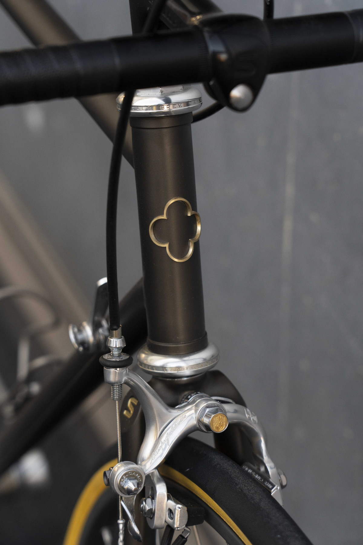 Brev campagnolo online frame