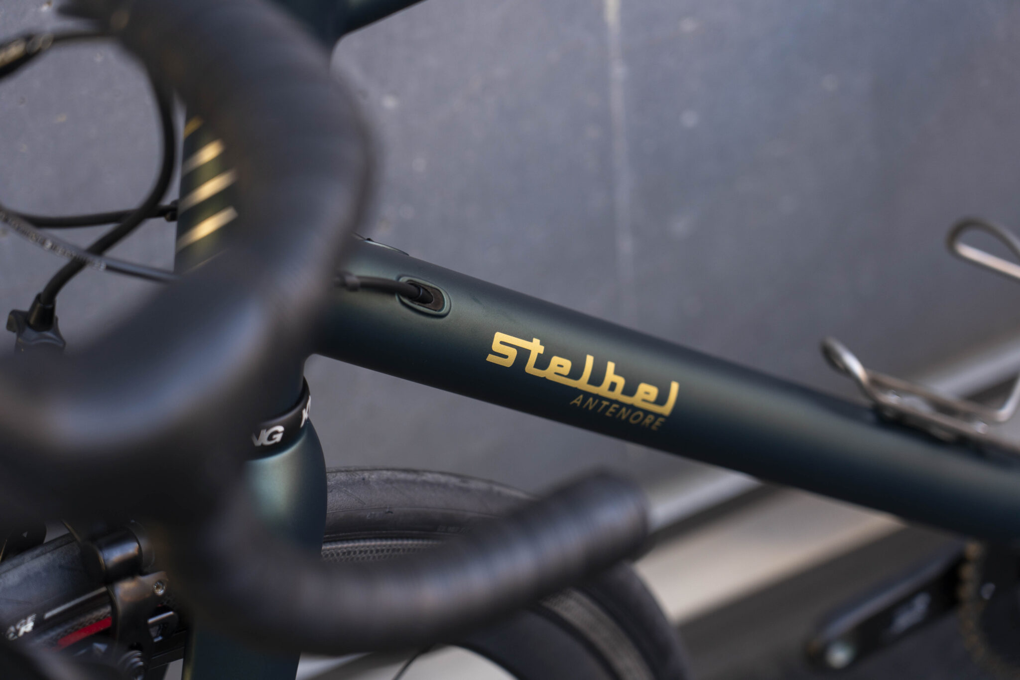 Stelbel-Antenore-21108