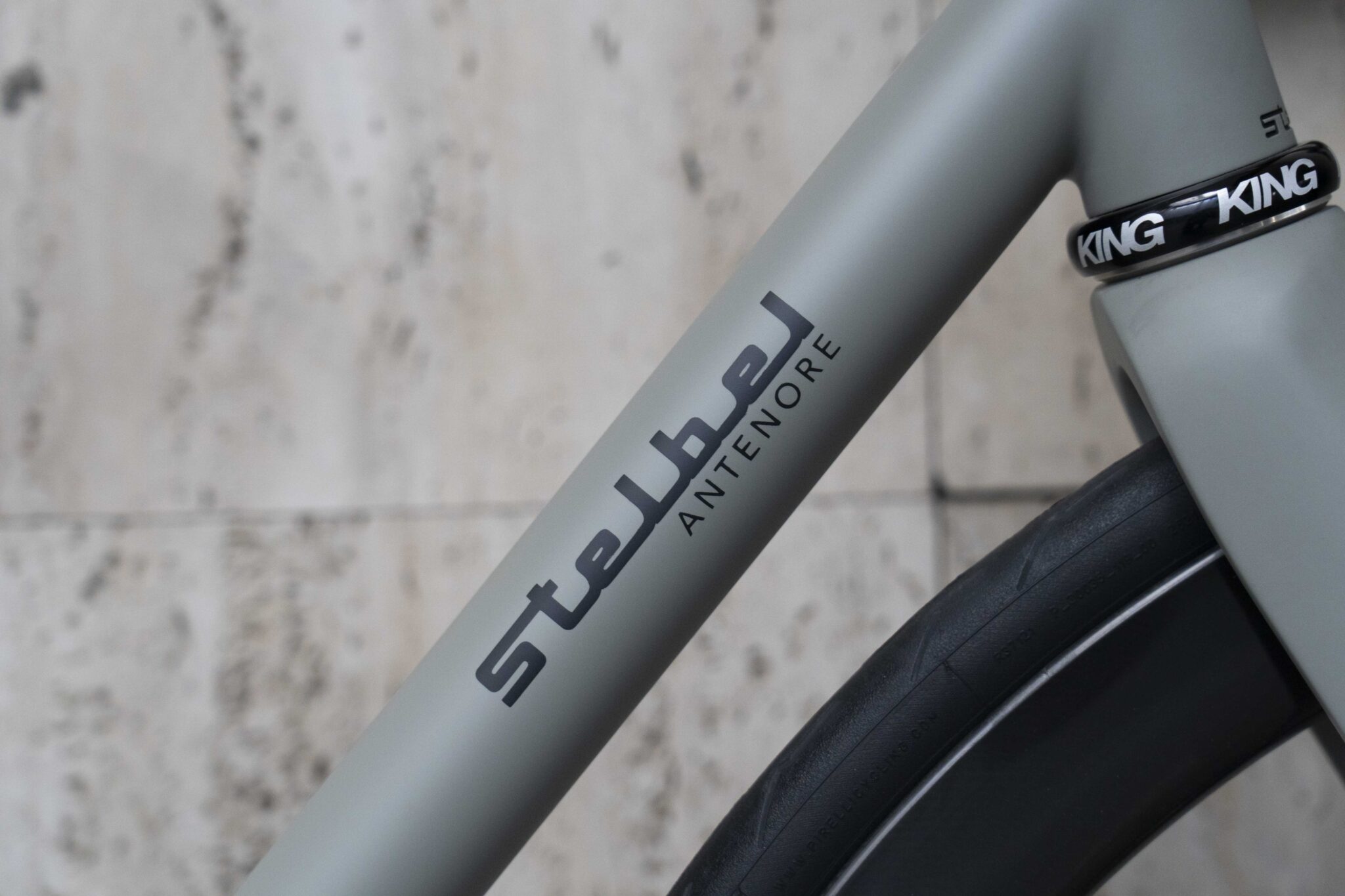 Stelbel-Antenore