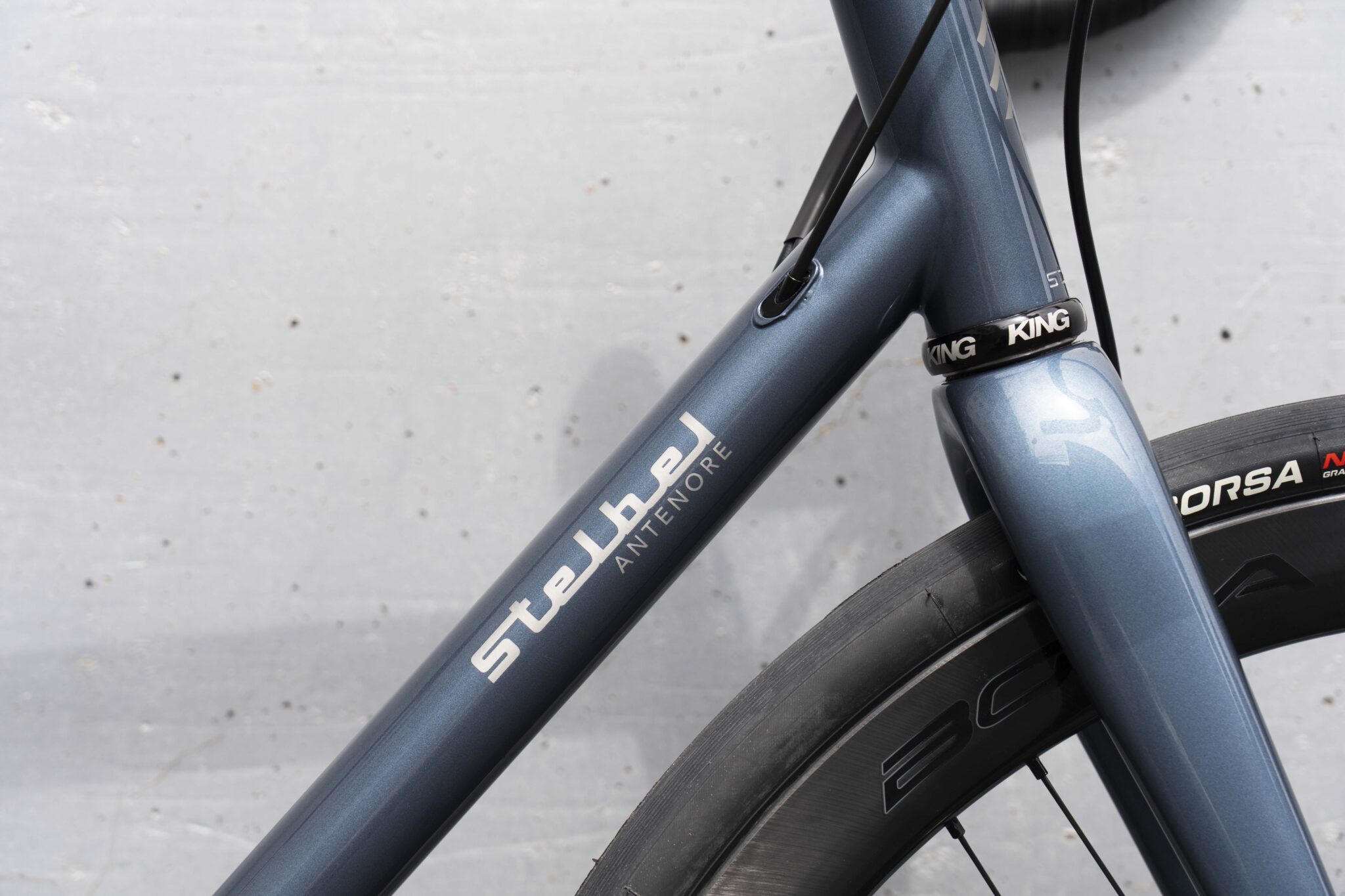 Stelbel Antenore Disc