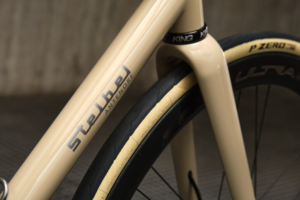 Antenore Disc - Stelbel