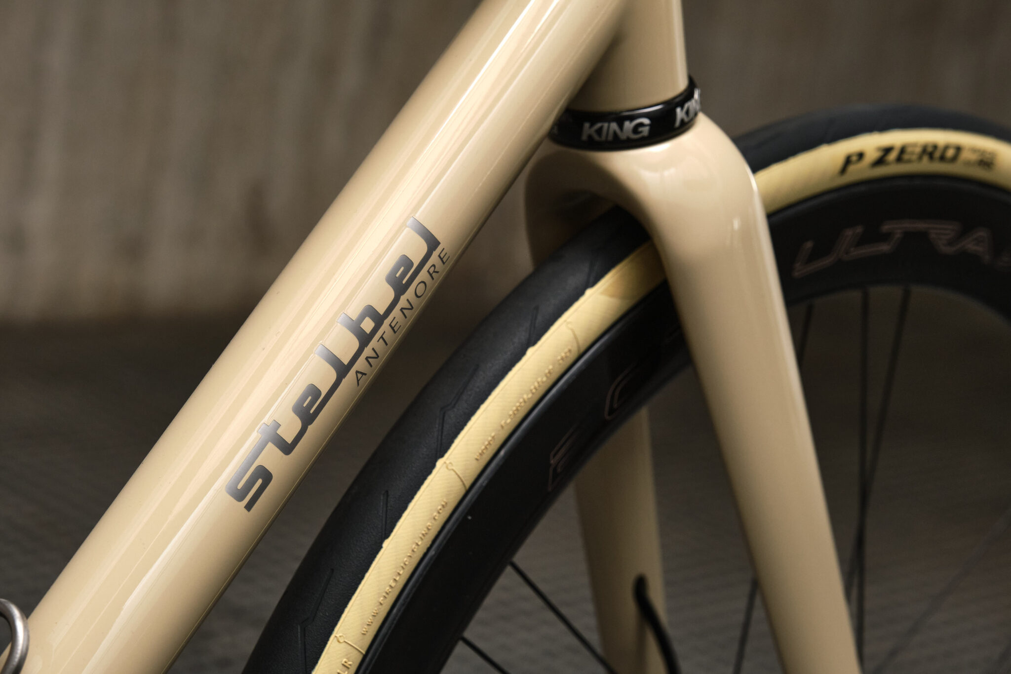 Antenore Disc - Stelbel