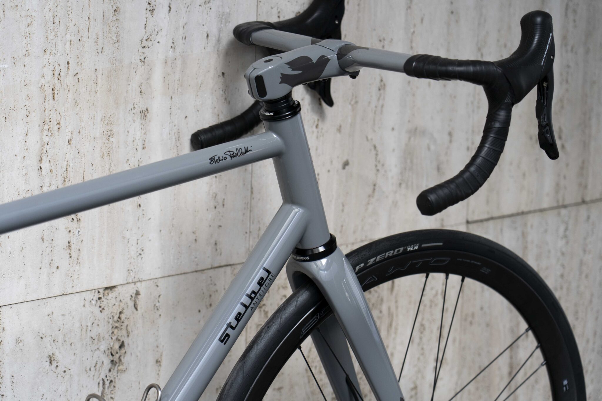 Antenore Disc - Stelbel
